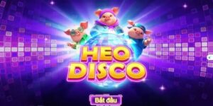 Bongvip - Chơi nổ hũ Disco Piggy cực đỉnh không thể bỏ qua